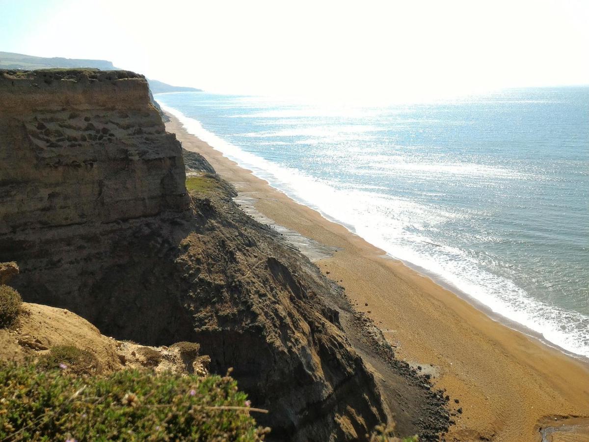 The Vitamin Sea Ventnor Zewnętrze zdjęcie